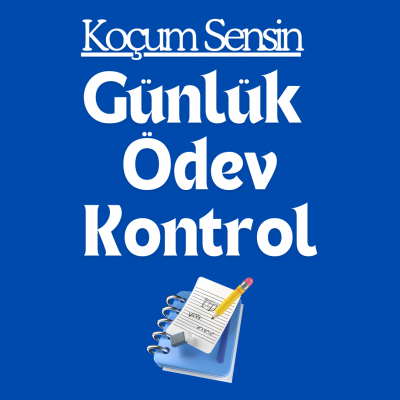 BİREYSEL KOÇLUK 